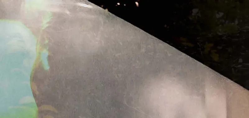 Fogged Mirror
