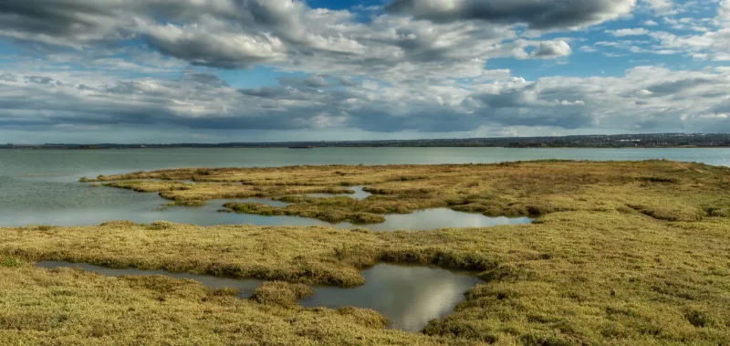 Landscape and Wildlife Photography Workshop - Hoo Marshes