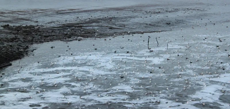 Outfall